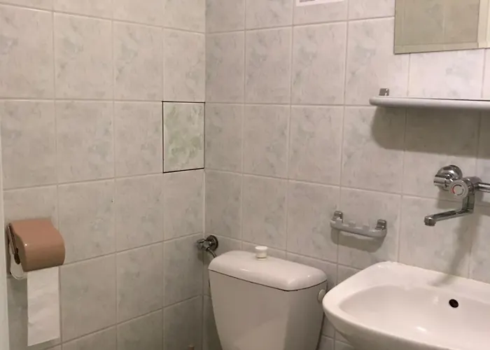 Dom Studenta Pod Jeleniem 3* 옐레니아구라